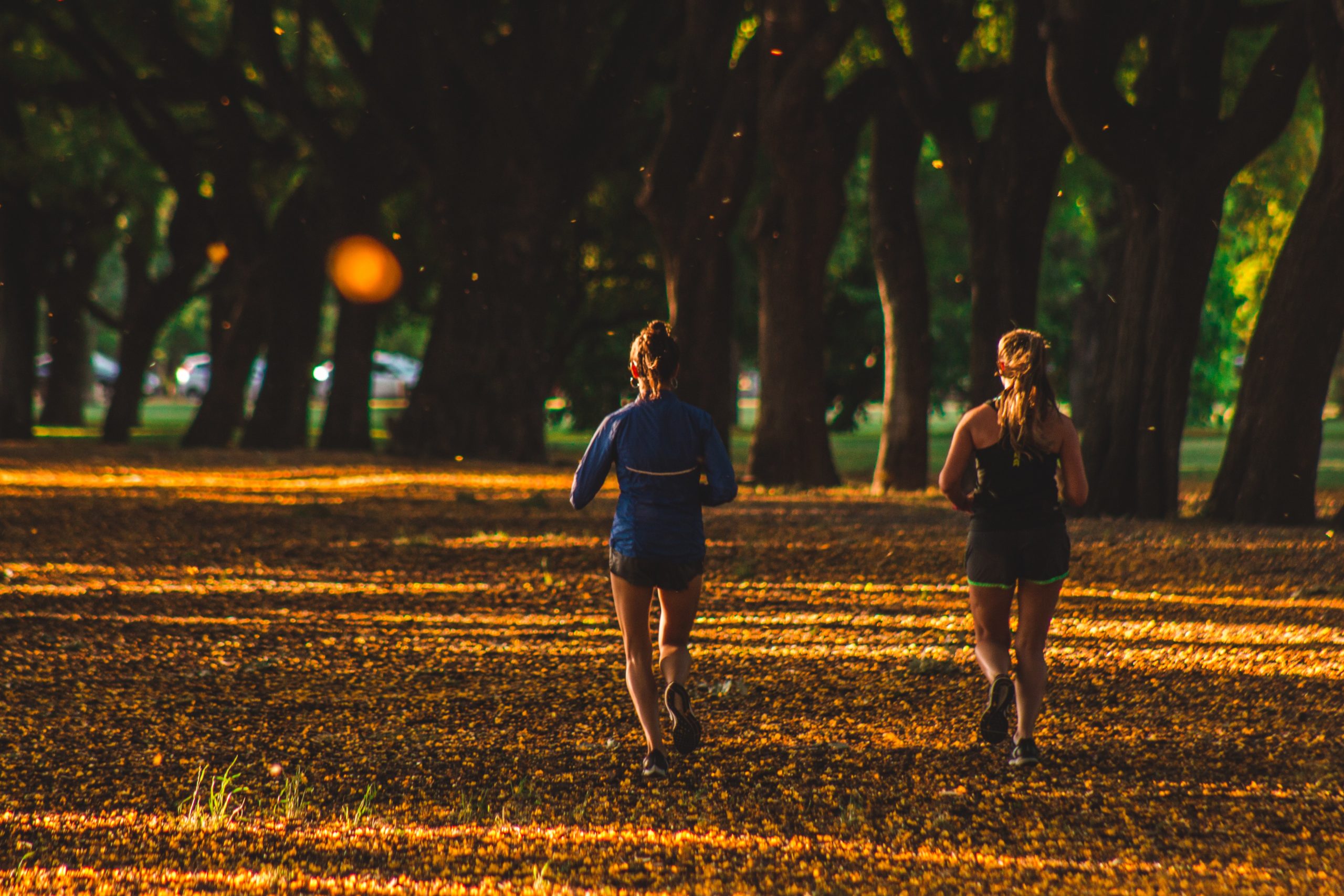 Foto: Geronimo Giqueaux (Unsplash)